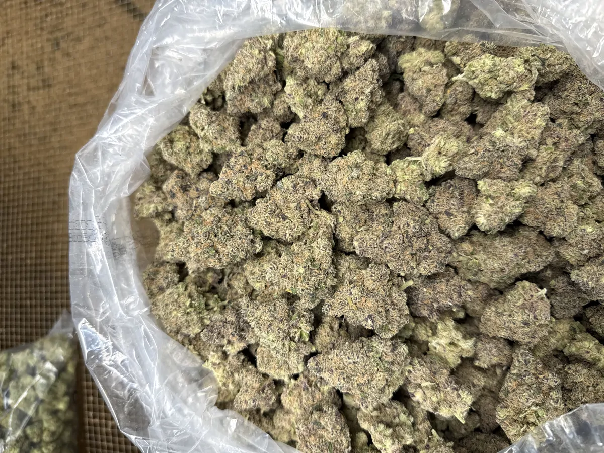 Mule Fuel Flower